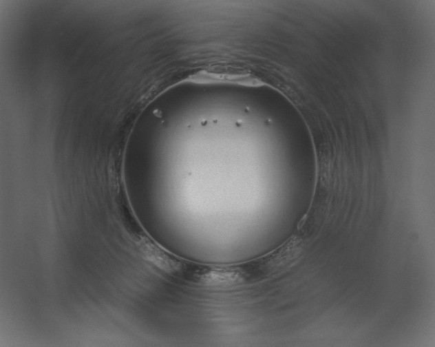 X0000067480270200604211641