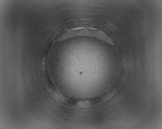 X0000067480271200604211641