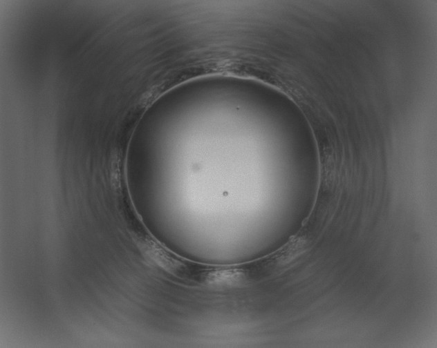 X0000067480274200604211641