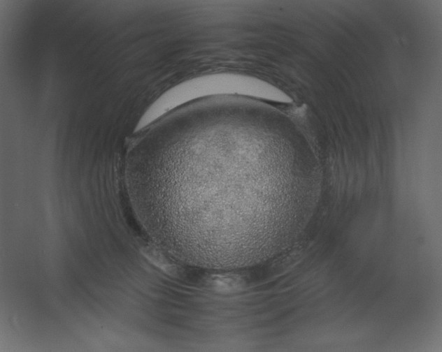 X0000067480275200604211641