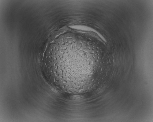 X0000067480277200604211641