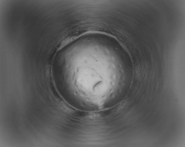 X0000067480278200604211641