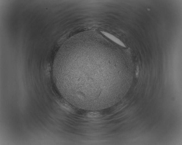 X0000067480279200604211641