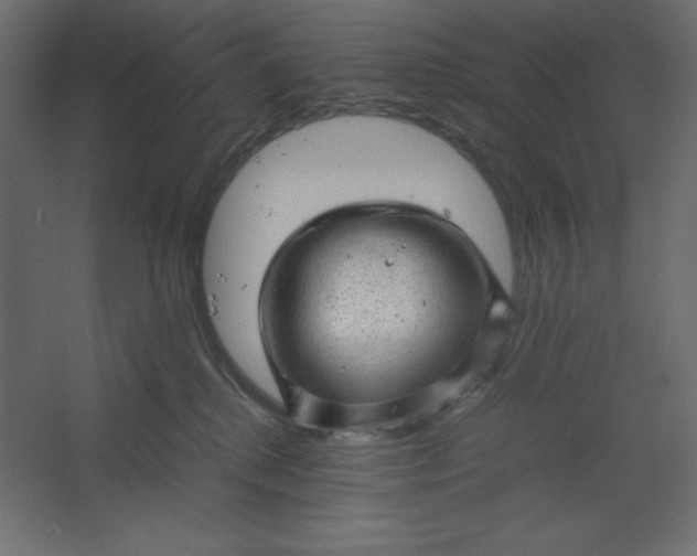 X0000067480280200604211641