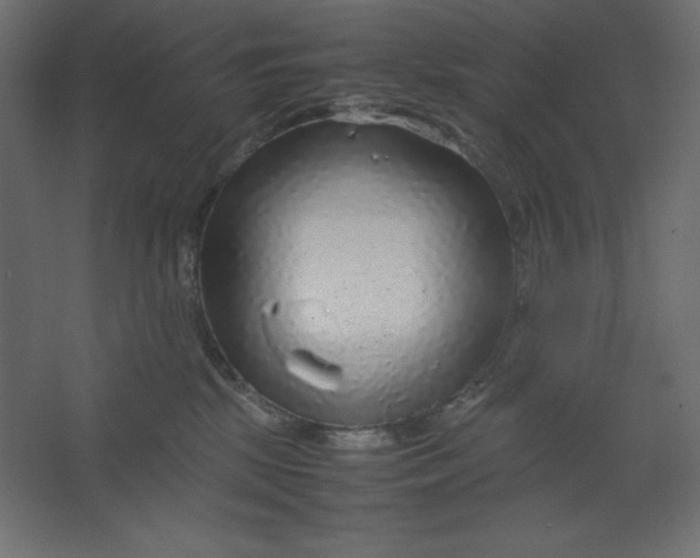 X0000067480281200604211641