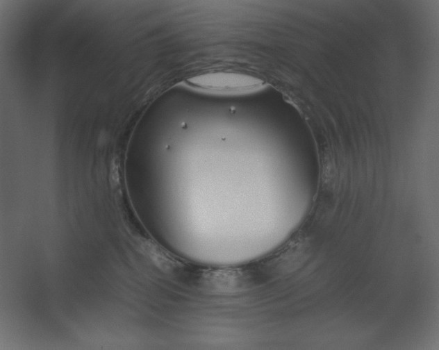 X0000067480282200604211641