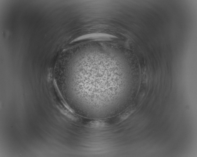 X0000067480284200604211641