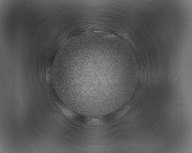 X0000067480285200604211641