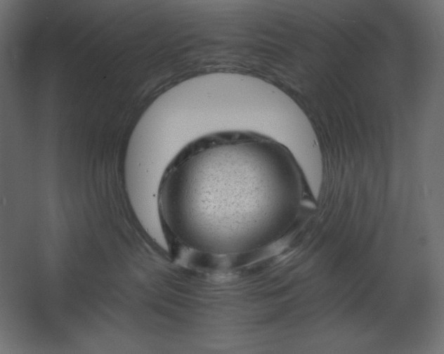 X0000067480287200604211641