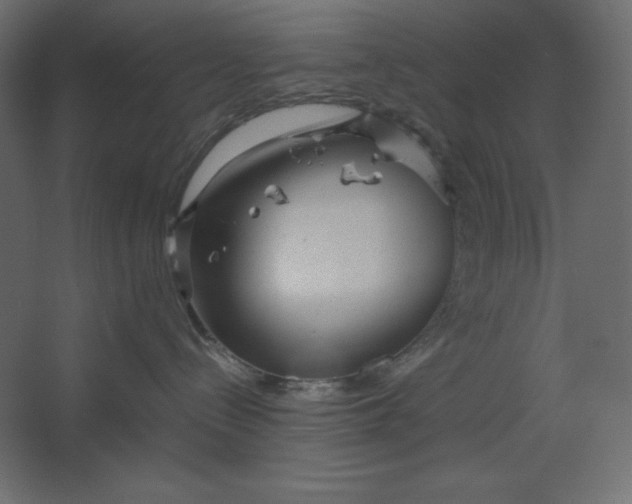 X0000067480288200604211641