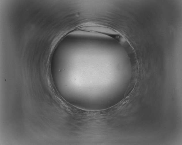 X0000067480289200604211640