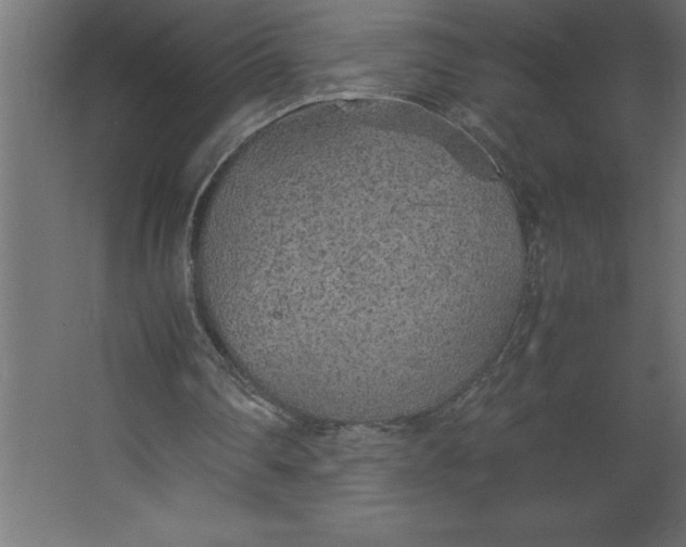 X0000067480290200604211640