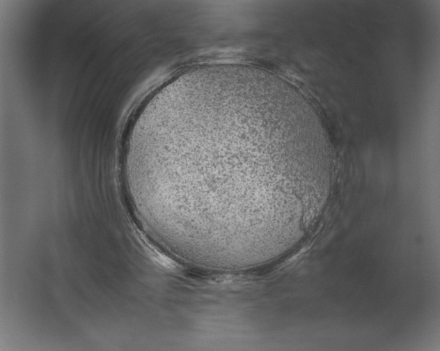 X0000067480293200604211640