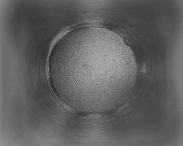 X0000067480294200604211640