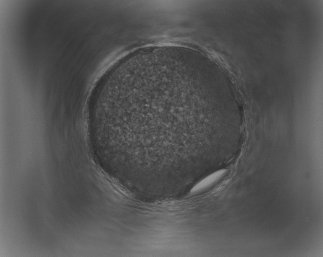 X0000067480295200604211640