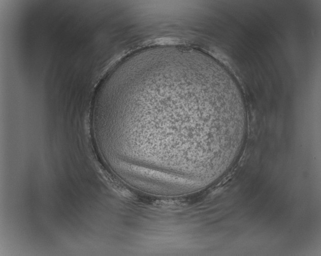 X0000067480297200604211640