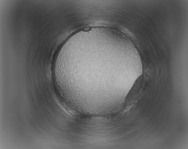 X0000067480298200604211640