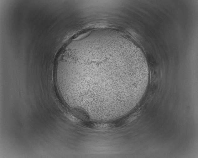 X0000067480301200604211640