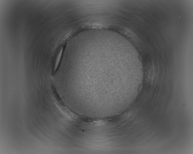 X0000067480310200604211640