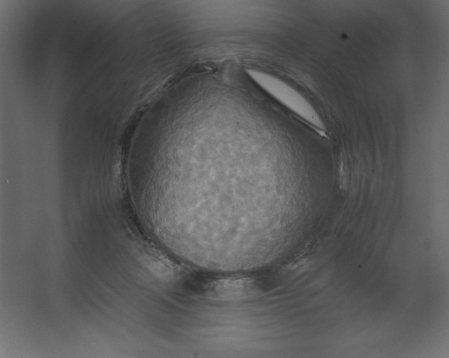 X0000067480314200604211640