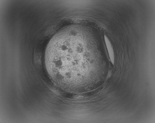 X0000067480315200604211640