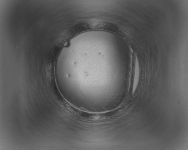 X0000067480319200604211640