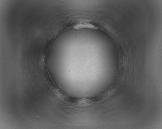 X0000067480321200604211640