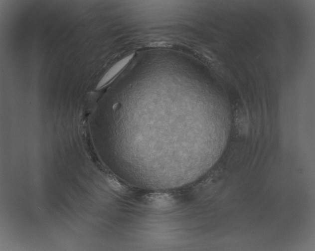 X0000067480322200604211640