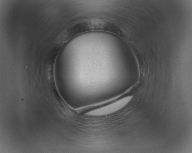 X0000067480323200604211640