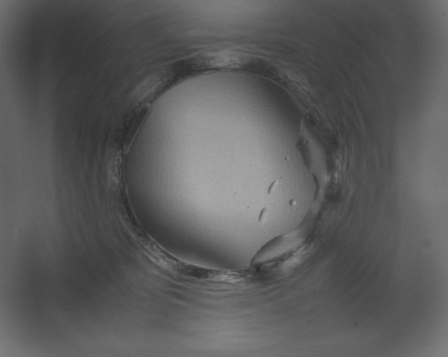 X0000067480325200604211640