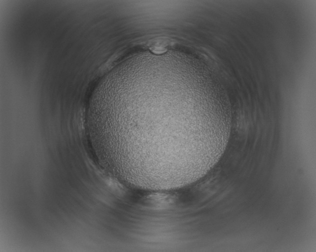 X0000067480326200604211639