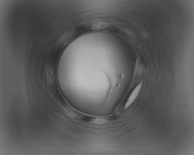 X0000067480327200604211639