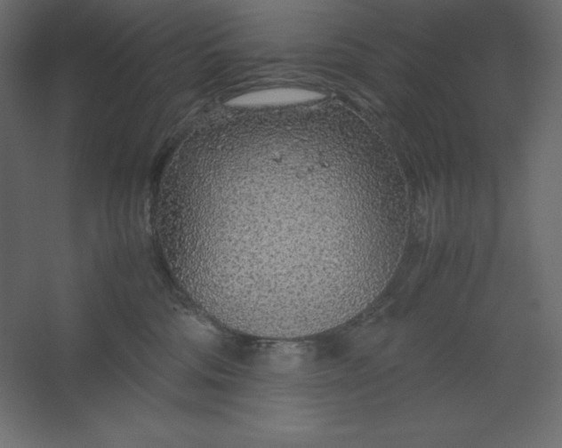 X0000067480330200604211639