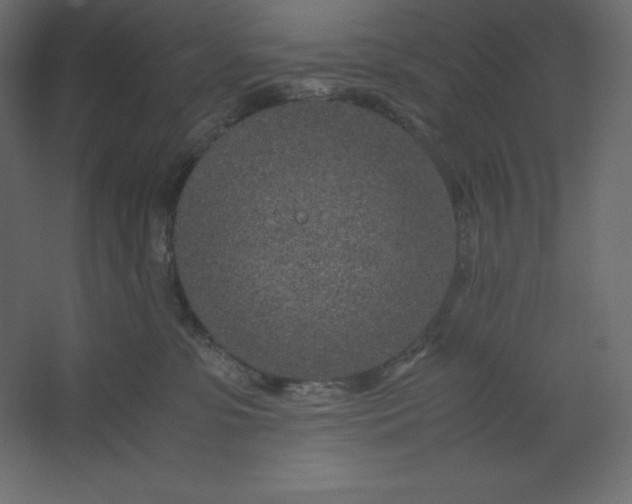 X0000067480331200604211639