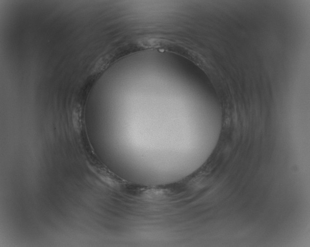 X0000067480332200604211639