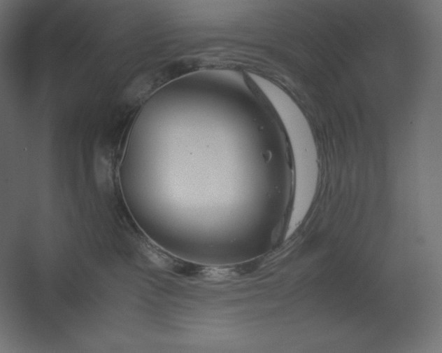 X0000067480333200604211639