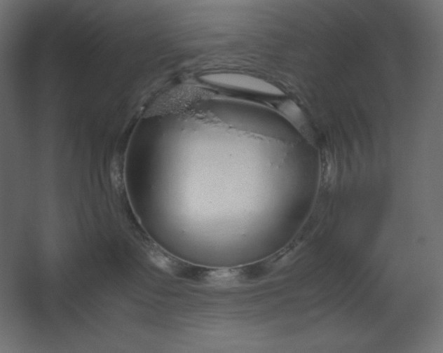 X0000067480335200604211639