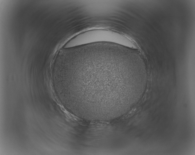 X0000067480337200604211639