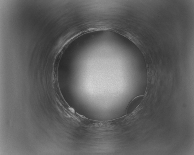 X0000067480338200604211639