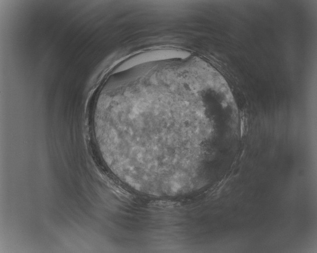 X0000067480339200604211639