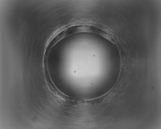 X0000067480340200604211639