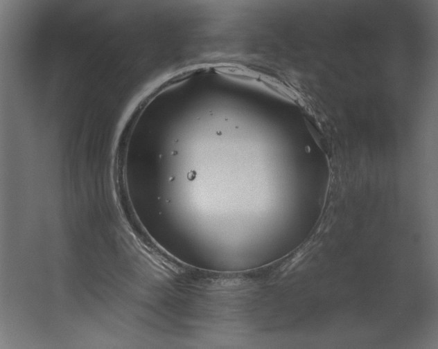 X0000067480342200604211639