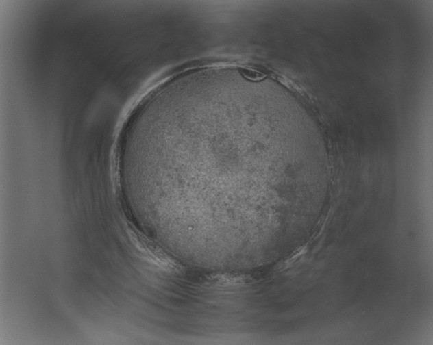 X0000067480343200604211639