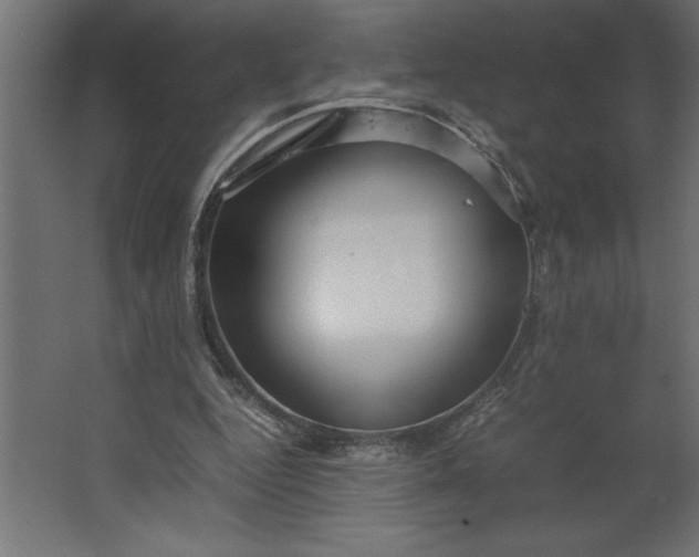 X0000067480344200604211639