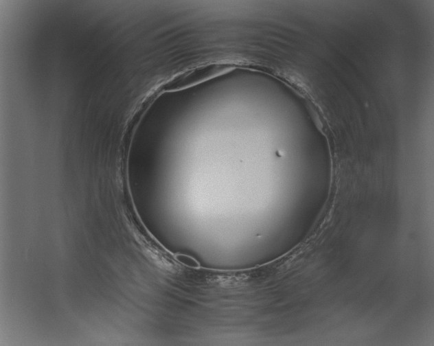 X0000067480345200604211639