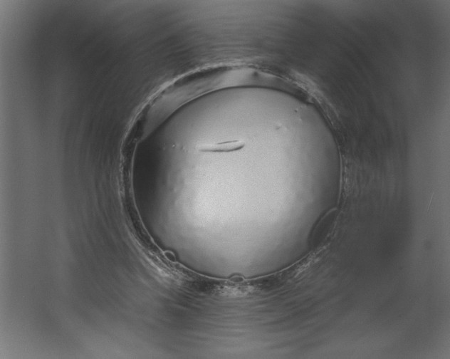 X0000067480346200604211639