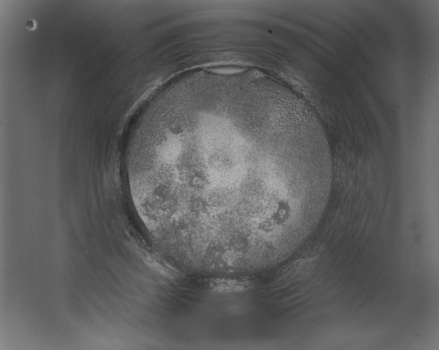 X0000067480347200604211639