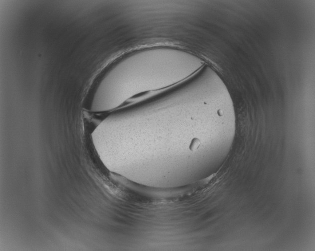 X0000067480350200604211639