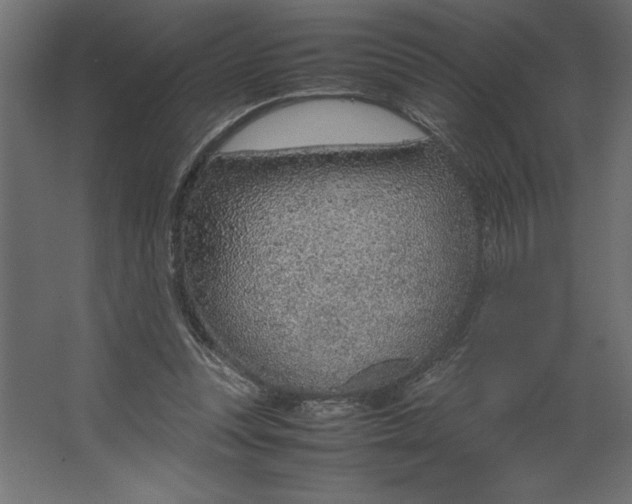 X0000067480351200604211639