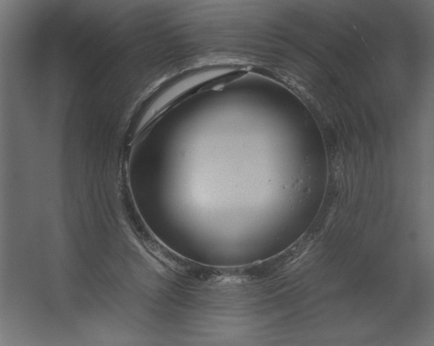 X0000067480352200604211639